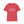 Load image into Gallery viewer, Everyone Matters Unisex Softstyle T-Shirt