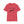 Load image into Gallery viewer, Just Passing Through Unisex Softstyle T-Shirt