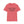 Load image into Gallery viewer, Exercise and Alcohol Unisex Softstyle T-Shirt