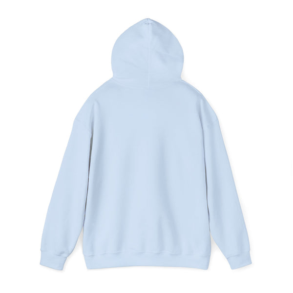 Just Passing Through Unisex Heavy Blend™ Hooded Sweatshirt